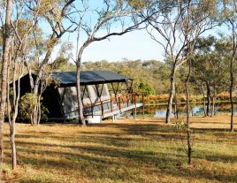 Your private glamping retreat in the bush Your private glamping retreat in the bush